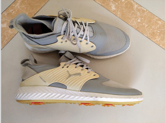 Puma Men’s Ignite PWRADAPT Caged Golf Shoes