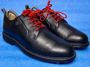 ” FootJoy Premiere Series Field Golf⛳ Shoes”