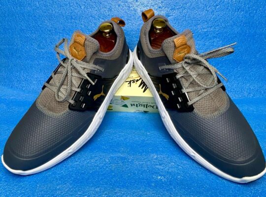 “Puma Ignite Articulate Men’s Gol
